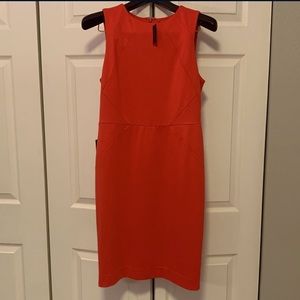 The Limited Size 8 Sheath Dress NWT